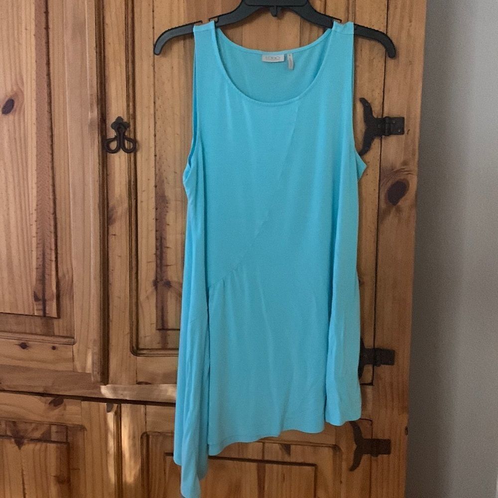 Logo by Lori Goldstein Asymmetrical Hem Tunic